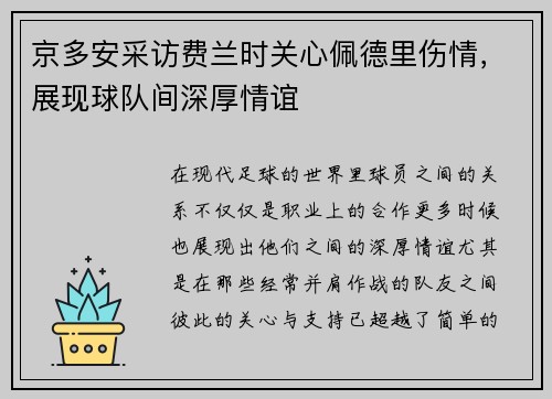 京多安采访费兰时关心佩德里伤情，展现球队间深厚情谊